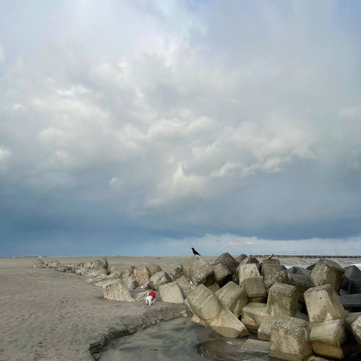 66728bd2 3734 4a76 b67e 2d018370041d 1616452345546