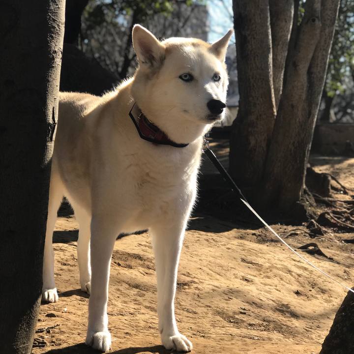 66728f7d 21bc 4f71 b044 44ca9844bf47 1643676789506