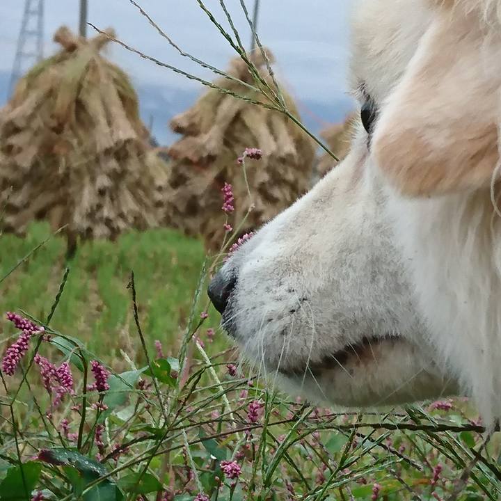 6672c4cd f9a8 476c 86da 7798782110b5 1539212280133