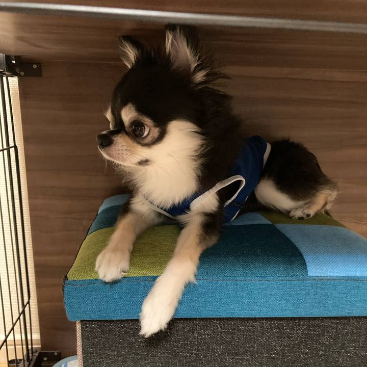 66735cbe c63a 4108 b33e 9a434b650da8 1693064012378