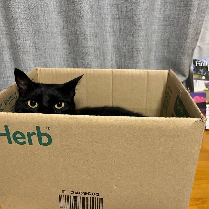 66739a24 12f2 4b93 8b68 e85078788e33 1686048957998