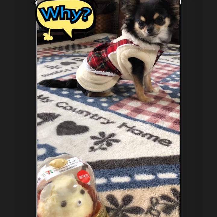 6674020d a7b6 4f3e b994 e6f81b268c0b 1551658577673