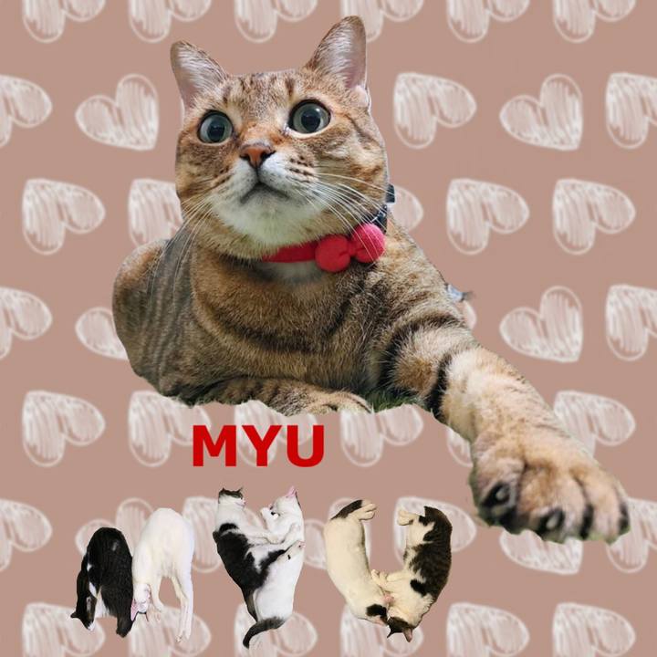 66741919 2710 44d0 863e cb530c8d02ec 1669763919695