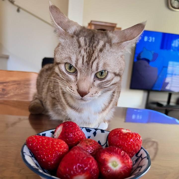 66742bba 17f1 4eb2 bf6a 3c7d31117131 1677290098981