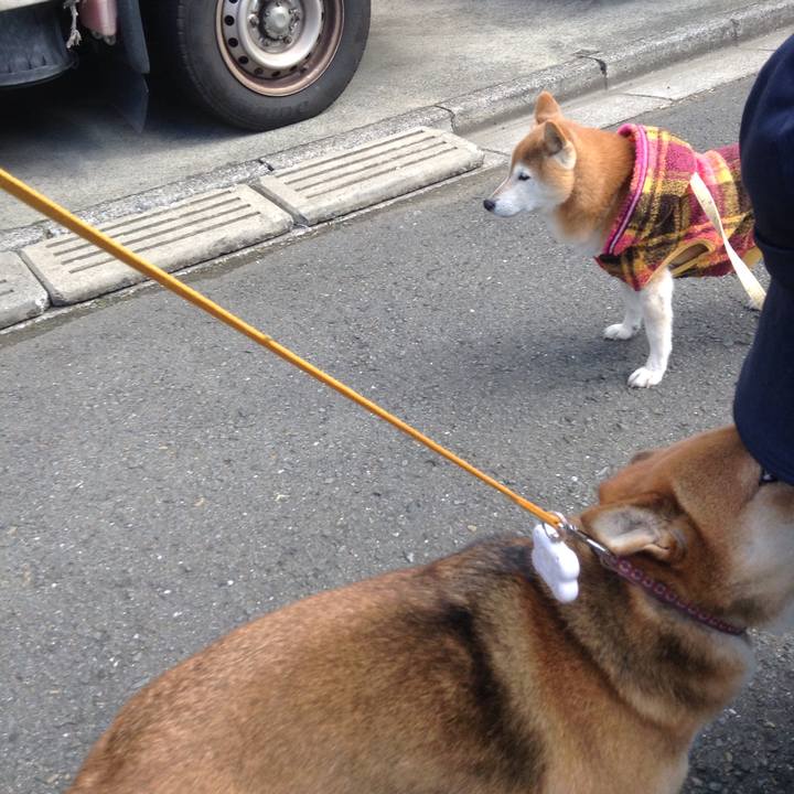 66742e50 cfa6 431f 9b60 91ab110339ee 1511061063915