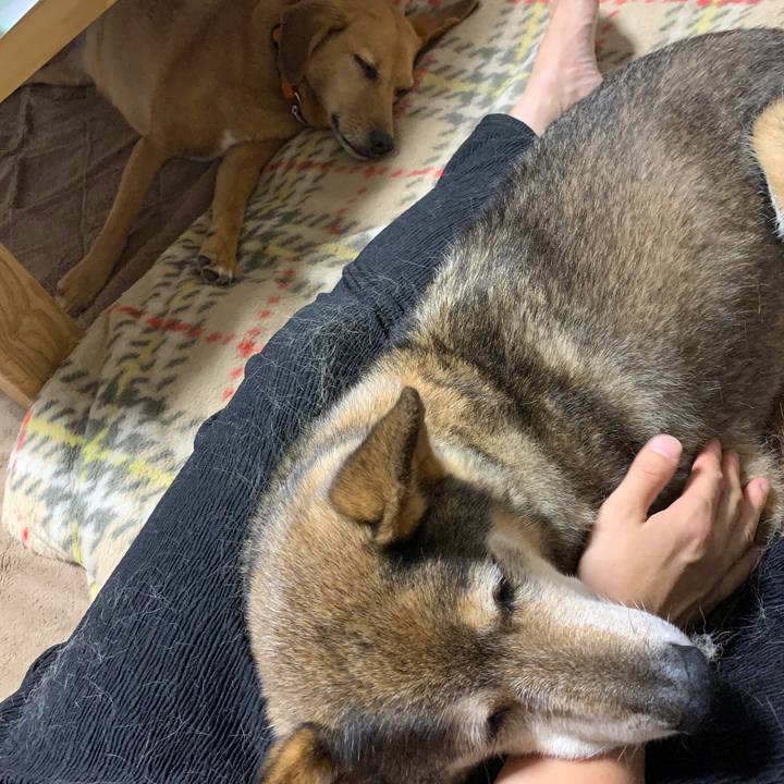 66745273 1c1e 4d42 9550 90ab4cbc0e87 1563283771718