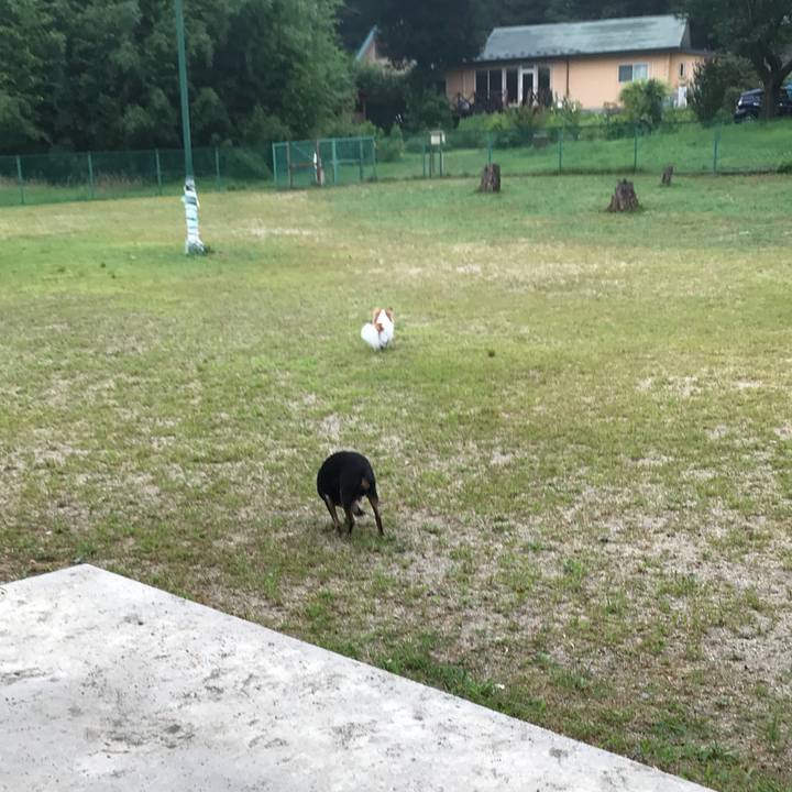 6674b9e2 f3bd 438f 9940 7a1aa8163505 1566303708200