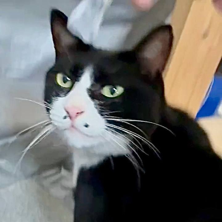 6674ebb8 a59a 4537 8b4e 4eb328aa38b9 1756460967183