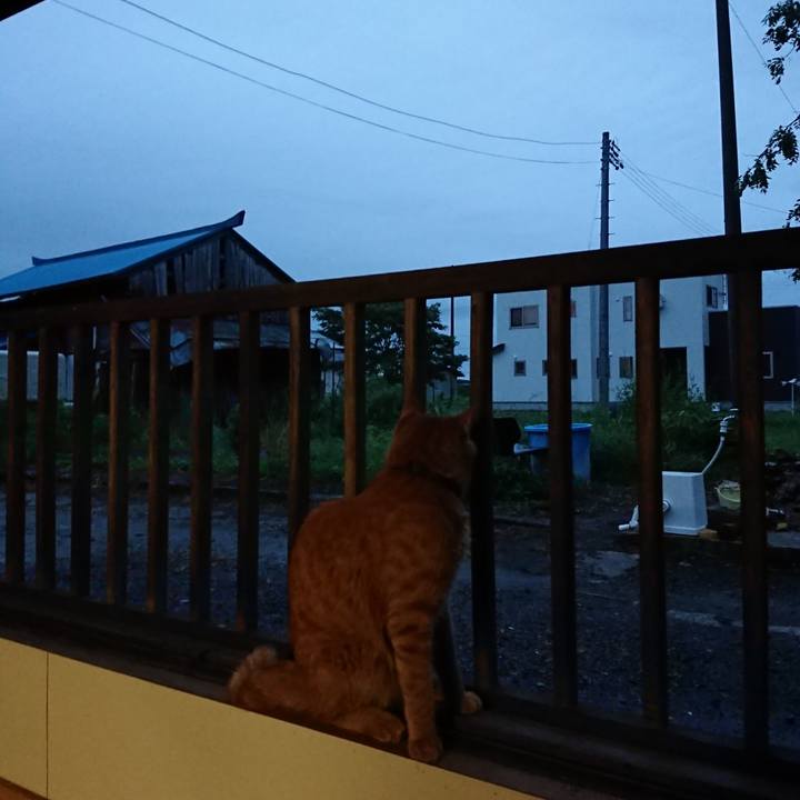 6674ef45 ec23 41fc a05e 2284dbe579fe 1662583638000