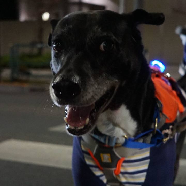 6674fbe5 96b9 4846 b4e1 83be6ab9f862 1764587678399