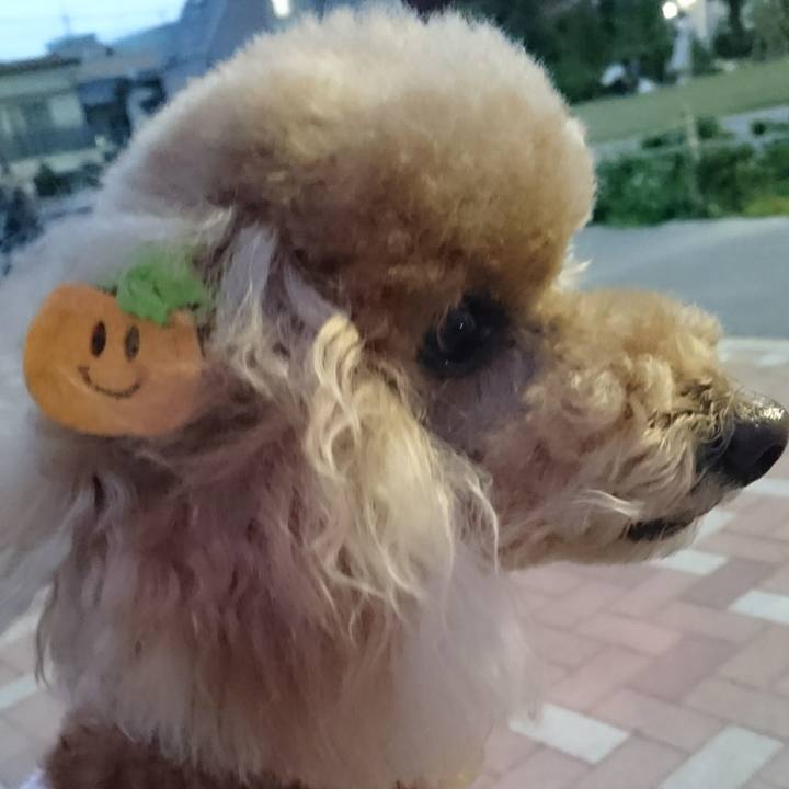 667510b5 ff20 4409 b917 5827462e06ee 1508073321907