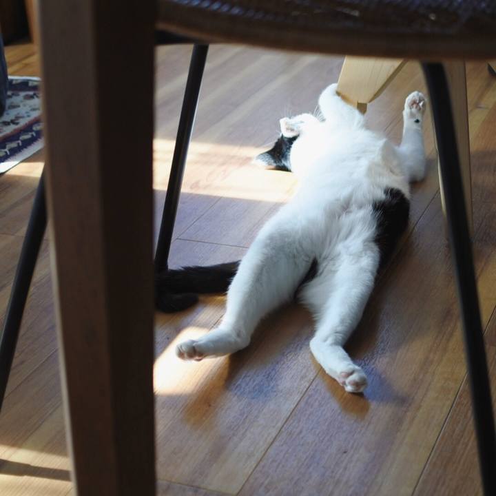 667539c2 f8e2 408d a295 58db57e40ef6 1517965241834