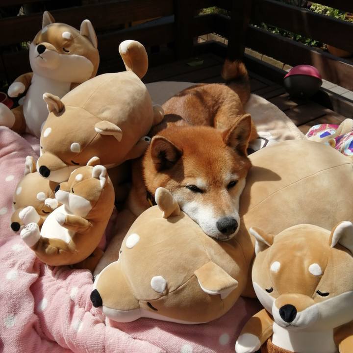 667545c2 9223 4537 8e45 6bc877615604 1648863541394