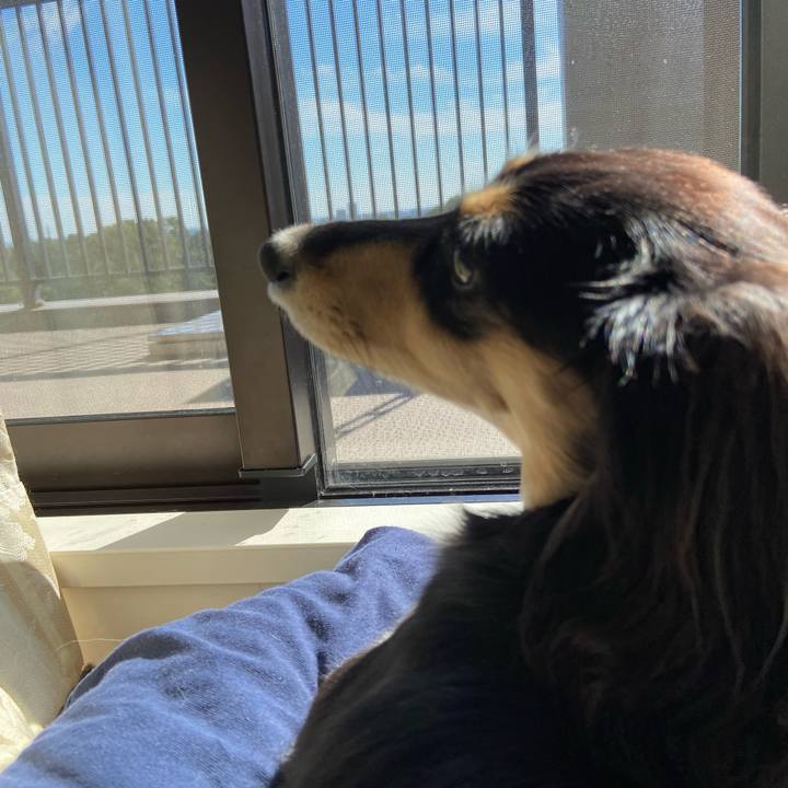 66757b66 125e 4356 ae9f 249933db7dfc 1698033674348