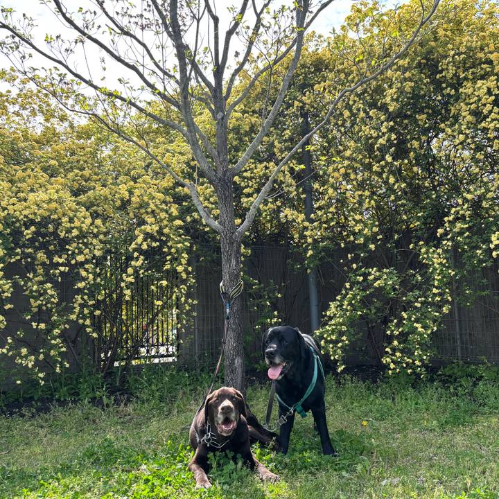 66759063 f87a 4a8b a6eb 48372dc60afb 1776516076677