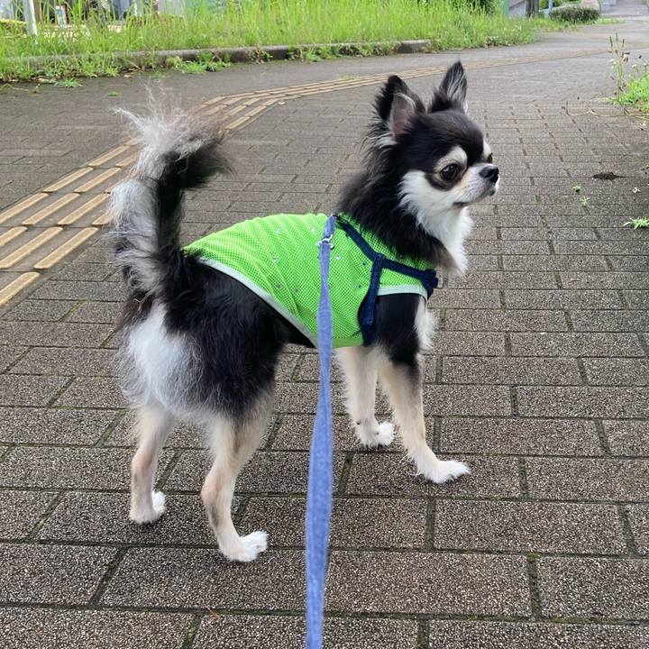 66759375 d7d0 448f a433 f3478c6ab295 1688310551010