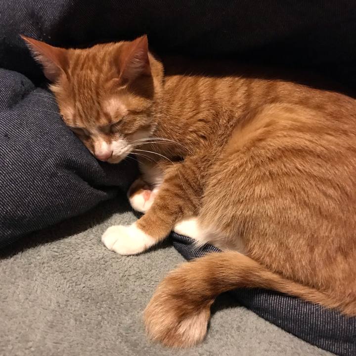 6675967b 69d1 4e05 8dde 1660c6e85638 1551973431391