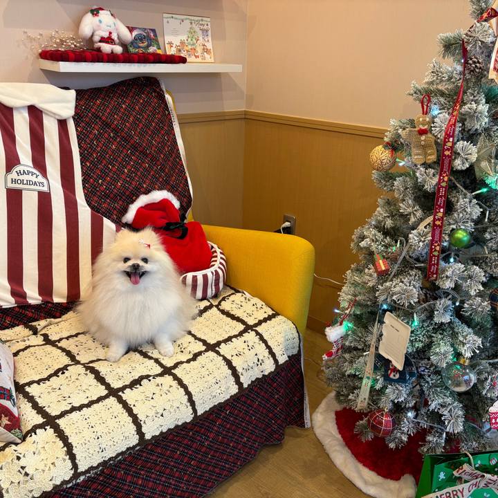 667598fe 8890 49ac 96a6 4395de01e173 1766575073651