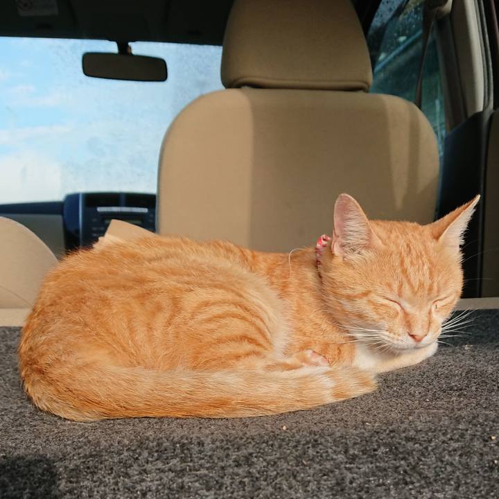 6675a40f fc16 4e36 8362 71005cb1c903 1561410027532