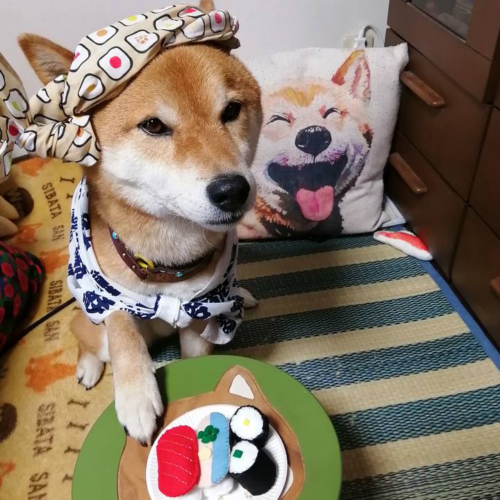 6675f467 15c6 4de6 add1 609d46a499ac 1588148727808