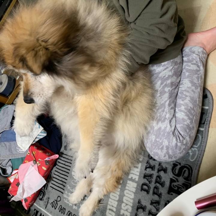 6675fa16 03ca 4732 87ba 80314fb03256 1646697389587