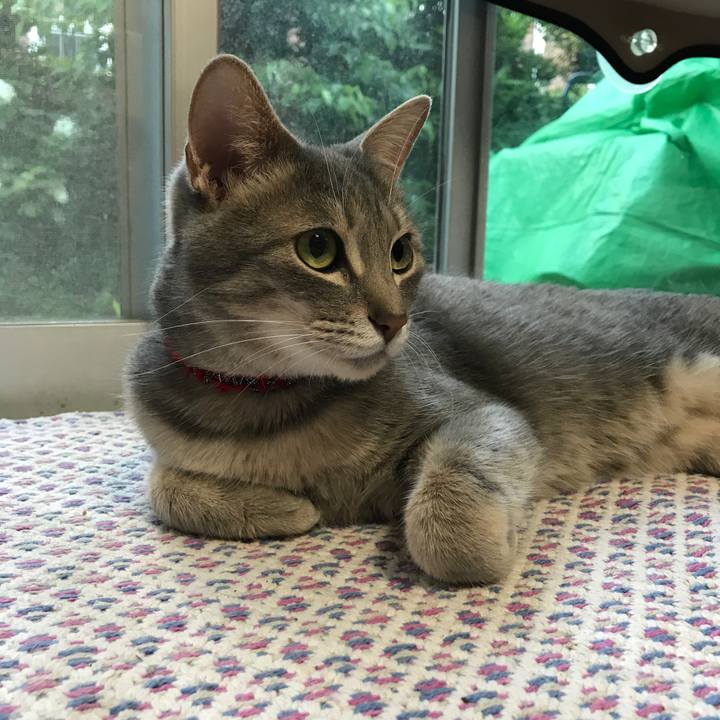 6675fbb9 d01e 4085 a2b9 f10b1f071679 1560737446620