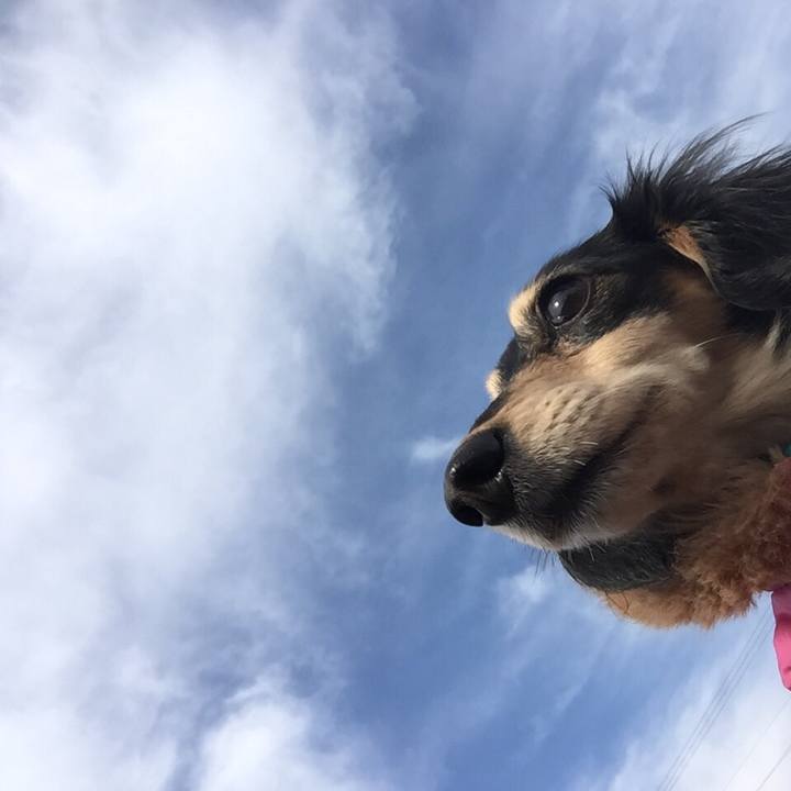 66760440 e142 4cbb bd5e d1ec5c879c4e 1515983835434