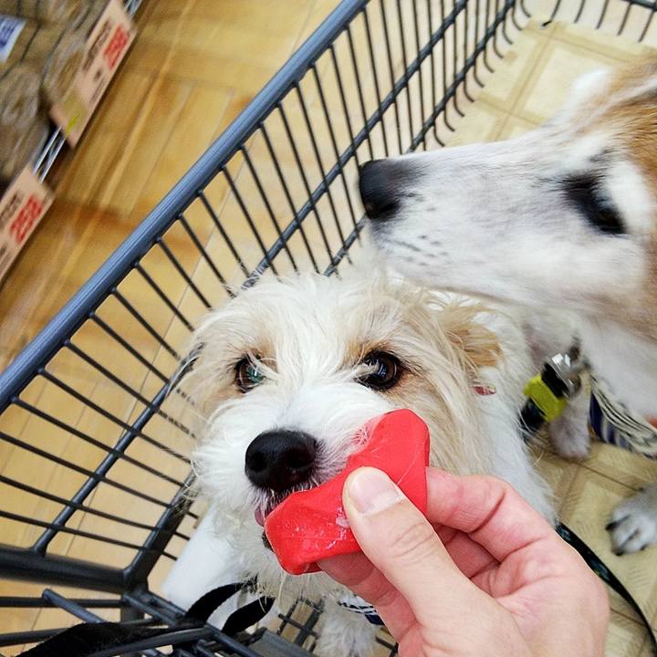 66763cc6 07d8 4696 b34a 37d871f96fd1 1564287071910