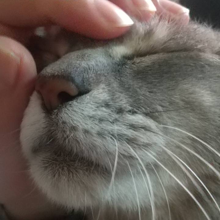 66766417 76b1 47aa 8a82 53db25bdbb77 1650588404756