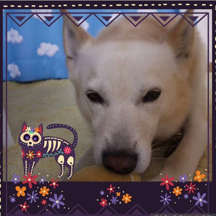 6676b21d a67e 4c1d bf4a 8516cc036be0 1635656562437