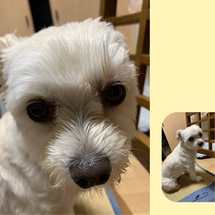 667746cc 1ab3 4a39 a81f 23ac4a08d056 1592657192227