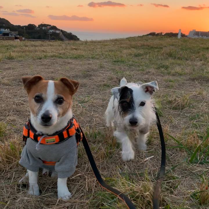 667762d8 ccf9 495f b2e2 cb5ccaf76c53 1637913496590