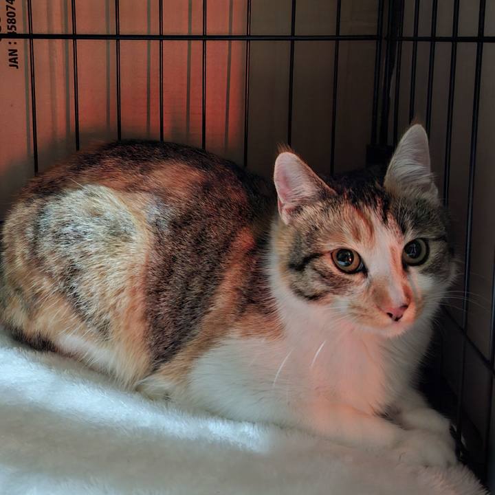 667778f7 8e26 4c56 85de 98014f3981ac 1766468451688