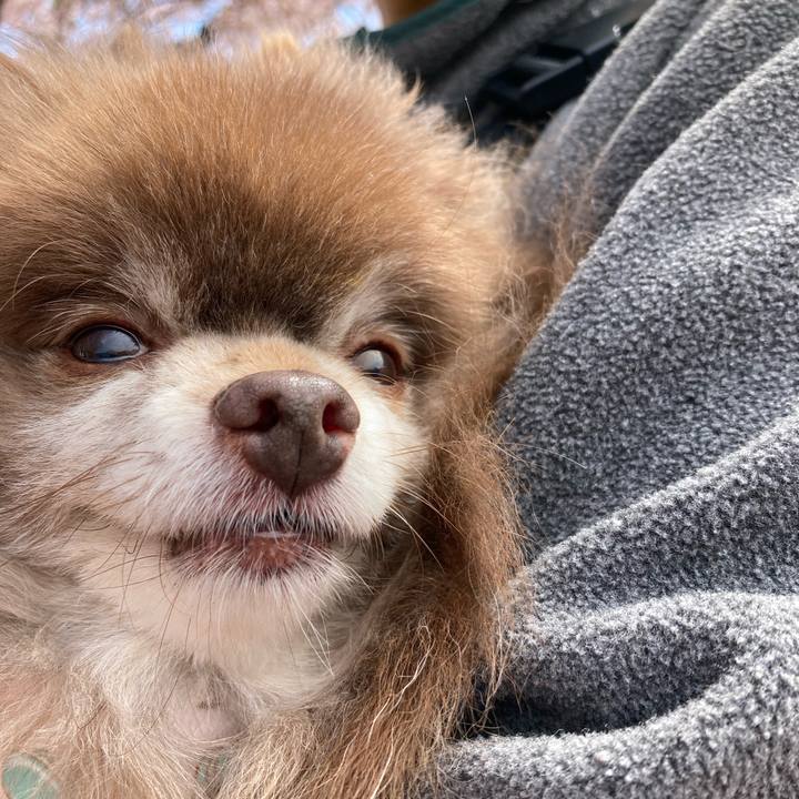 667785ad 8577 410b acab faa93ffd82e0 1714387781538