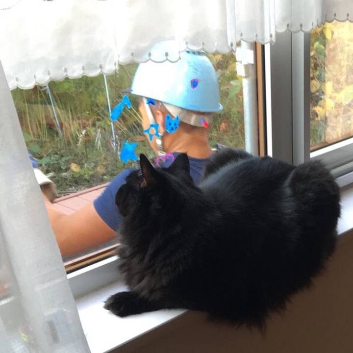 66779564 70bc 48df a6e6 6a465cb54a70 1541120795447