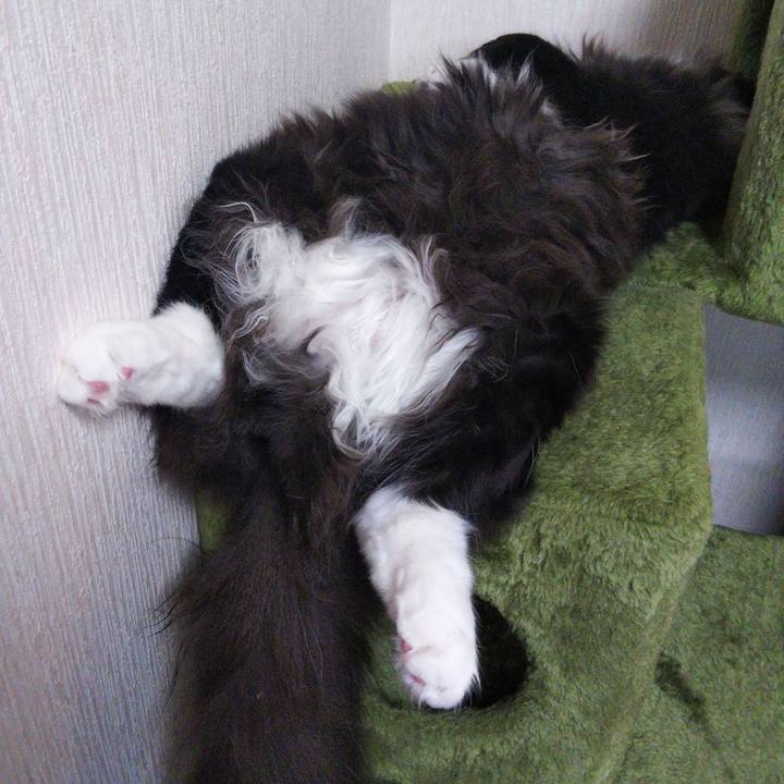 6677a693 0052 457b 874f b7ad0f767394 1653357054706