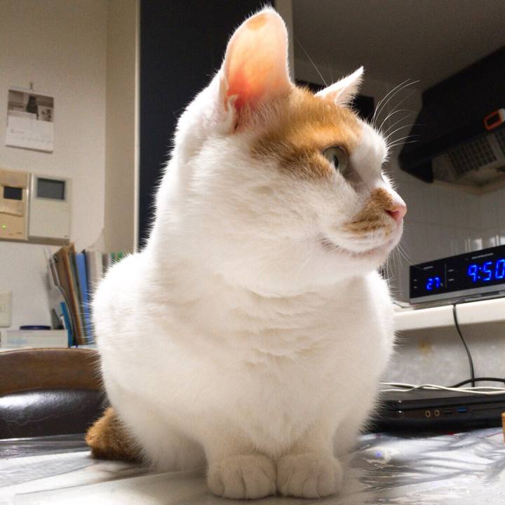 6677aafa a3d8 4109 8513 82ffeb5256fd 1513862228419