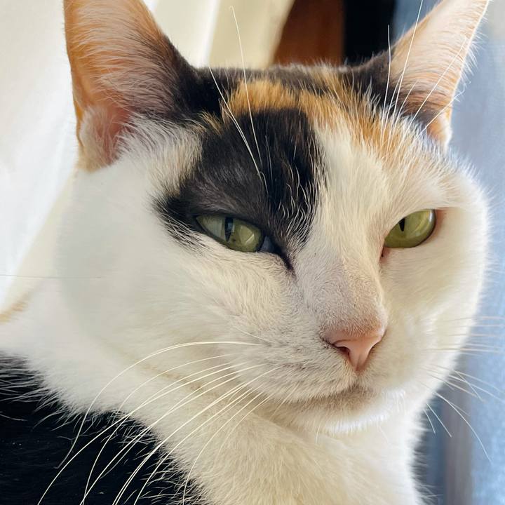 6677da12 2a89 45b5 94e1 cf712260077d 1621305498091