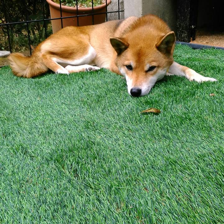 6677e6e3 6fc0 4084 8cd9 3126b5c7fac0 1511837662169