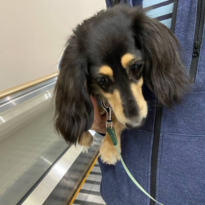 66782a85 f1d6 419b 97d4 1f8c1122d0ea 1731465417603