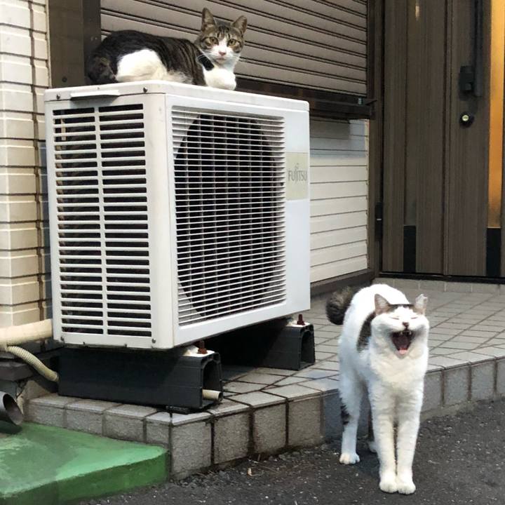 667839f6 8a4c 4370 9e59 7f52796dd071 1536239618629