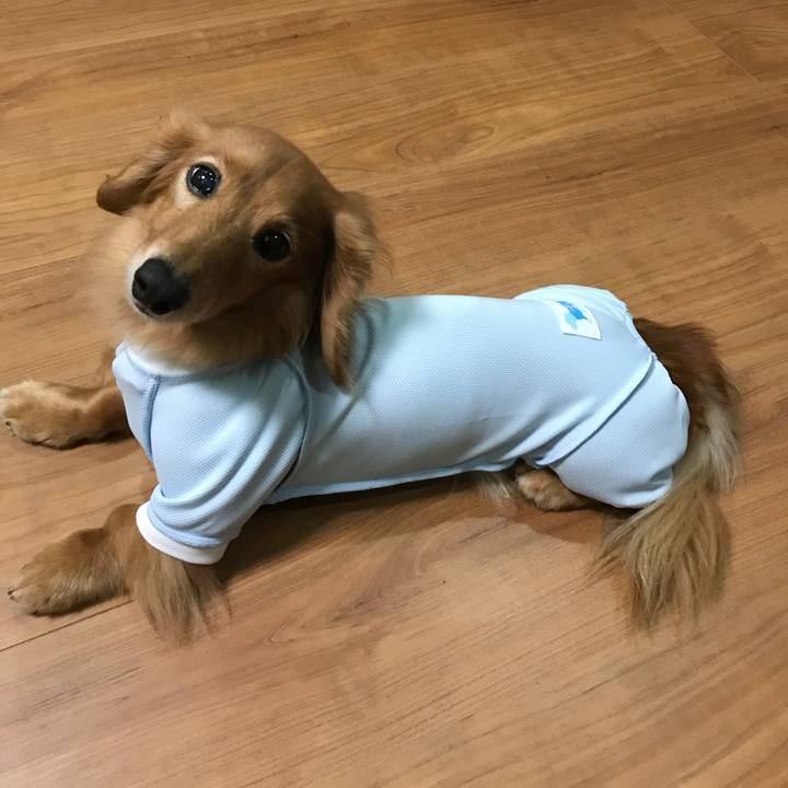 667846af 825f 45ac 9bce 493c5e6c18fd 1539776596223