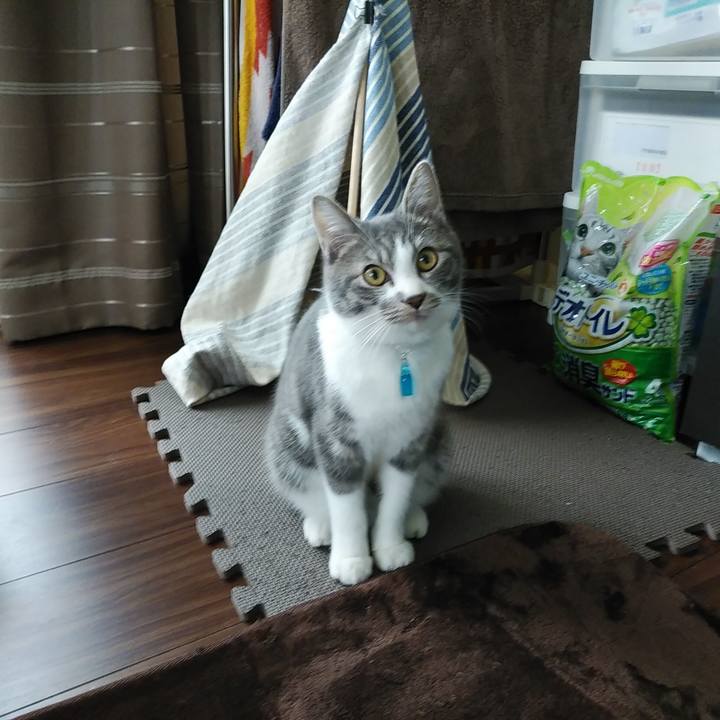 66785c5e 2067 437d 9448 dd3a494e9a94 1575594283274