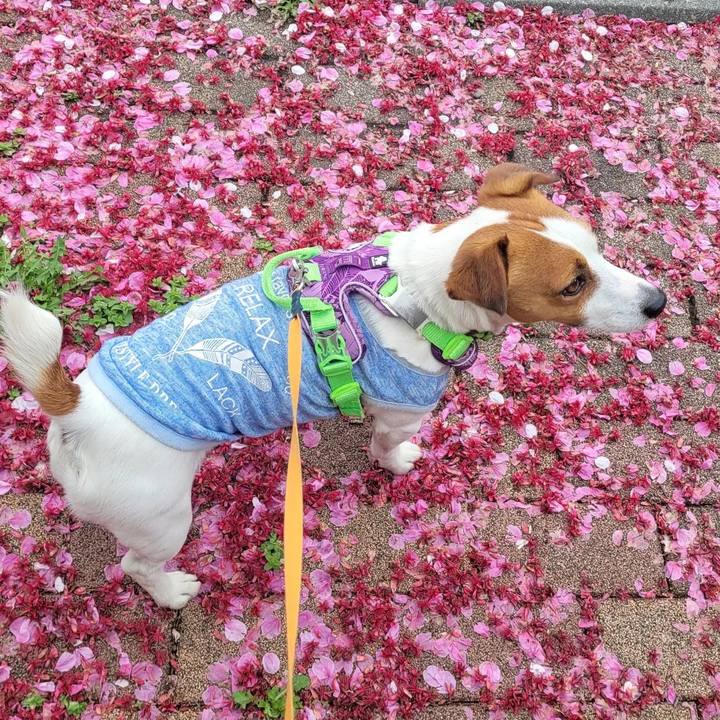 66786ad7 84db 467c 8080 d16c22789639 1679892587662