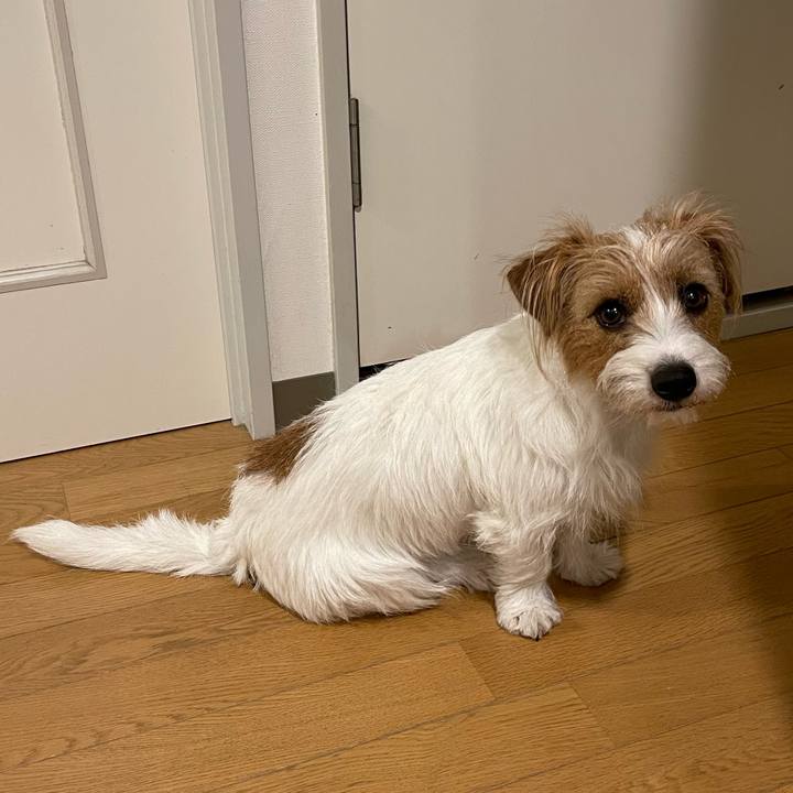 667886fc 69d6 4032 ae0e 1ed9a255e961 1768686140150