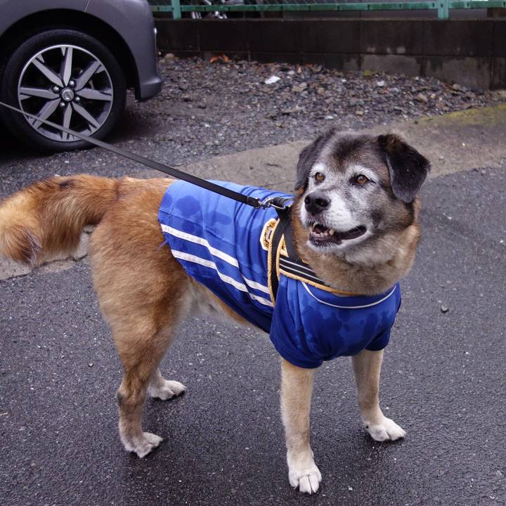 6678a676 7890 406a b2f9 c511029f333e 1560043429925