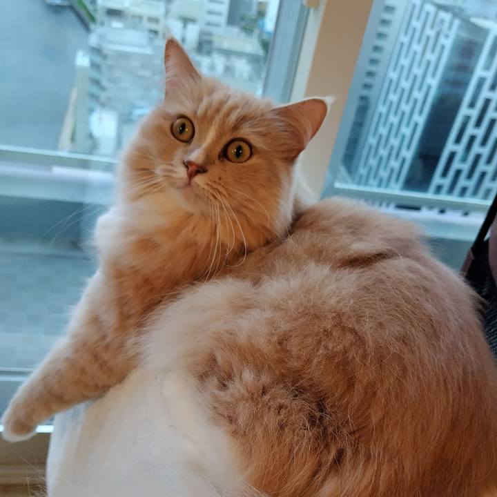 6678b231 7c30 44e0 9ab3 2592c2dd99ae 1717837677887