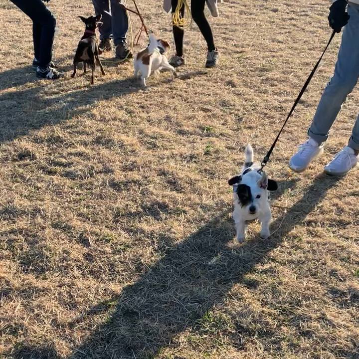 6678c061 6756 4e28 8628 1ab2cffef6fa 1676965594516