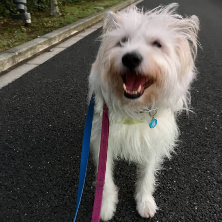 6678ccee 4ce3 4acc 9040 fde738144085 1571037042029