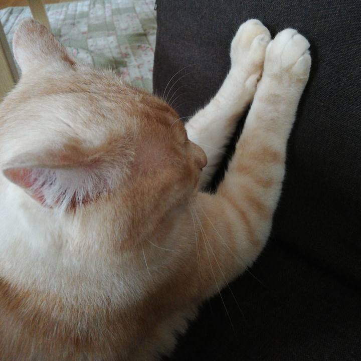 6678dfca 7a5d 4372 ba58 6c956d38b686 1623364314548